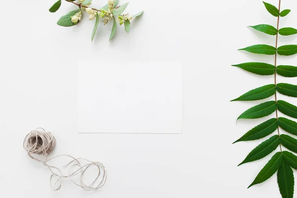 Tomma kort med bindgarn och gröna blad platta lay — Stockfoto