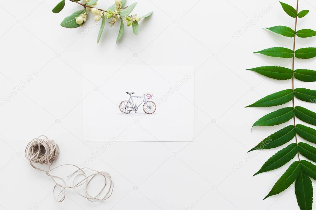 Postcard with bicycle and herbarium flat lay