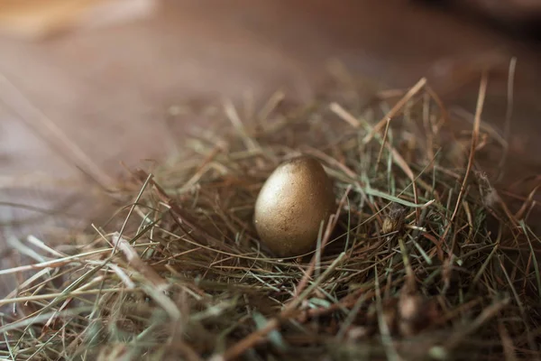 Goldenes Wachtelei im Stroh-Nest in Großaufnahme — Stockfoto