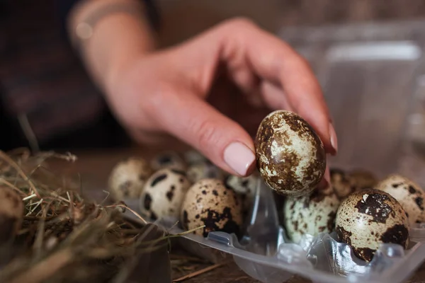 Frau legte gefärbtes Ei in Plastikbox — Stockfoto