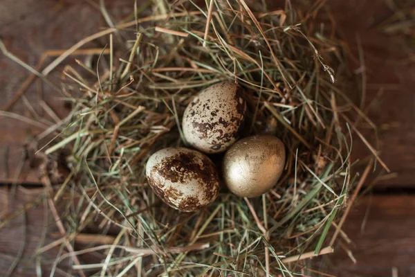 Några färgade ägg i halm kapsla platt lay — Stockfoto