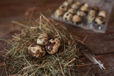 Yumurta closeup ile geleneksel Paskalya dekorasyon