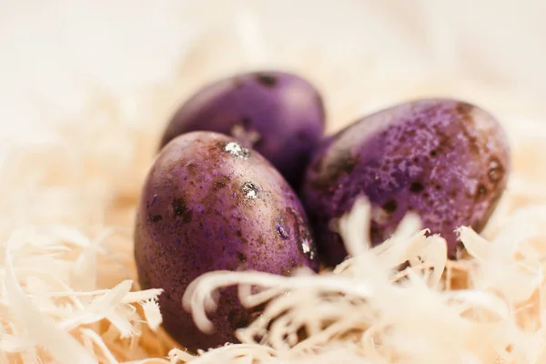 Three purple easter eggs in white nest closeup — Stock Photo, Image