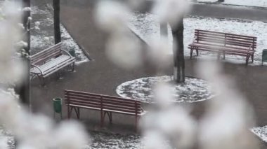 Kötü hava şartlarında bahar Şehir Parkı