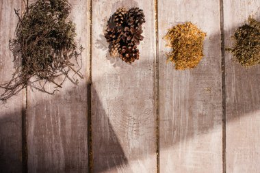 Tıbbi bitki hazırlık arka plan Üstten Görünüm