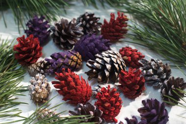 Arka plan doğa kış dekorasyon