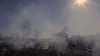 Doğa hasar ekolojik çevresel yıkım