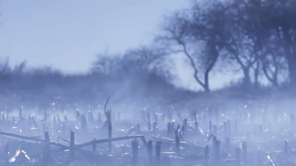 Daño a la naturaleza destrucción ambiental ecológica — Vídeo de stock