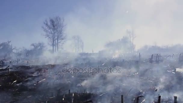 Natur schädigt ökologische Umweltzerstörung — Stockvideo