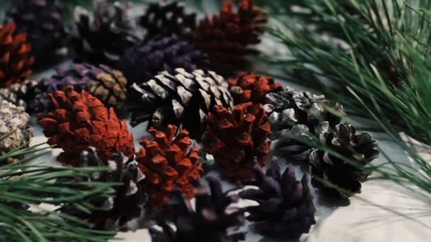 冬の自然の装飾のクローズ アップ — ストック動画