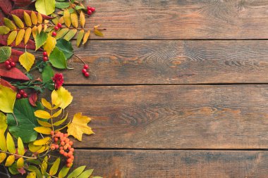 Sert ahşap yüzeyde sonbahar yaprakları