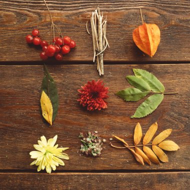 sonbahar yaprakları ahşap arka plan kavramı düşmek