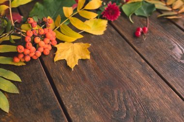 sonbahar yaprakları ahşap arka plan kavramı düşmek