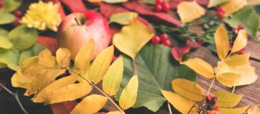 ürün yelpazesine kavramı soyut sonbahar yaprakları