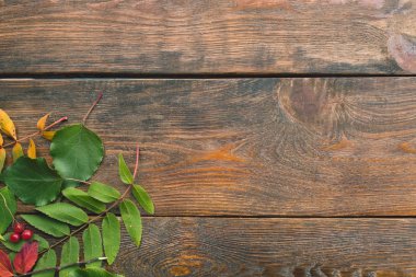 sonbahar yaprakları ahşap arka plan kavramı düşmek