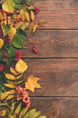 sonbahar yaprakları ahşap arka plan kavramı düşmek