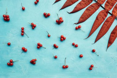 çilek arka plan soyut sonbahar yaprakları