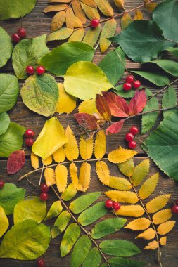 Ahşap bir zemin üzerine düşen sonbahar yaprakları