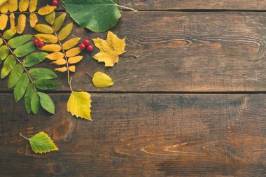 Sert ahşap yüzeyde sonbahar yaprakları