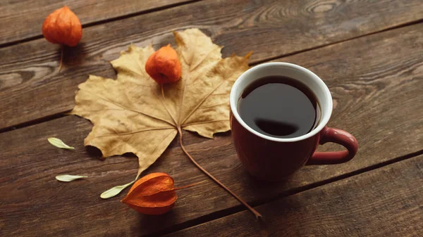 Autunno acero foglia sfondo caldo bevanda concetto — Foto Stock