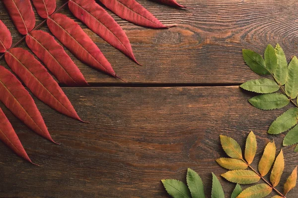 Herfstbladeren op het ruwe oppervlak van houten — Stockfoto