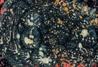 Mikrobiyoloji dünya yaratıcı sanat bilim