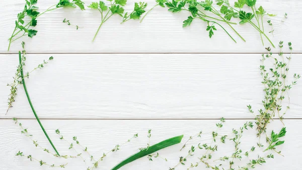 Aromatizantes culinarios orgánicos hierbas verdes frescas — Foto de Stock