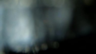 Bokeh ışıkları bulanık ışık benekleri hareketini gizler