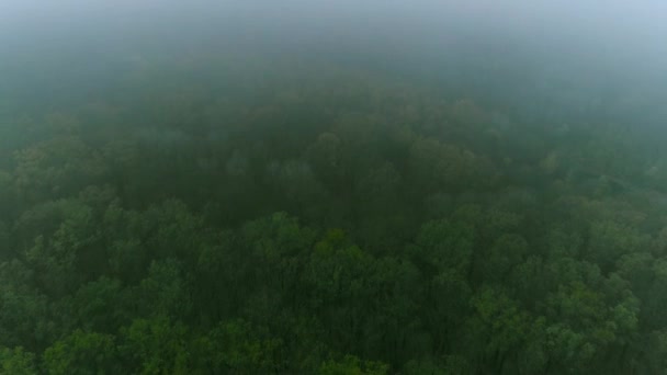 brouillard campagne aérien abattu forêt arbres fumée 