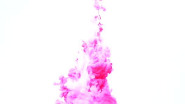 Peinture infusion superposition magenta rose colorant shot blanc — Video