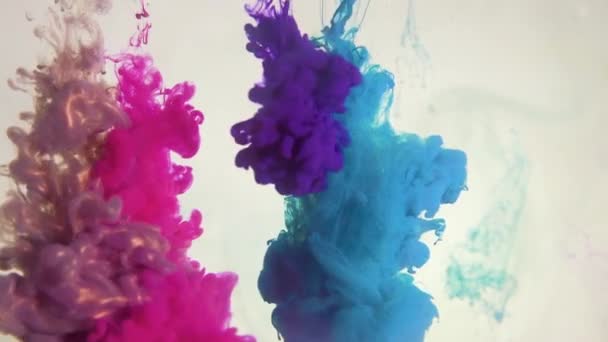 Verf schot effect overlay blauw roze rook wolk — Stockvideo