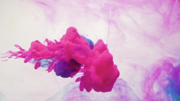 Efecto de infusión de tinta magenta rosa azul vapor nube — Vídeo de stock