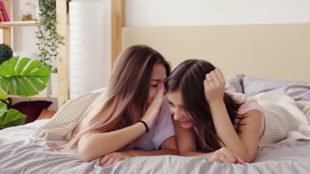 青少年友谊女孩闲聊分享秘密 — 图库视频影像