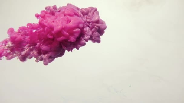 Nube de tinta en agua brillo humo rosa movimiento blanco — Vídeos de Stock