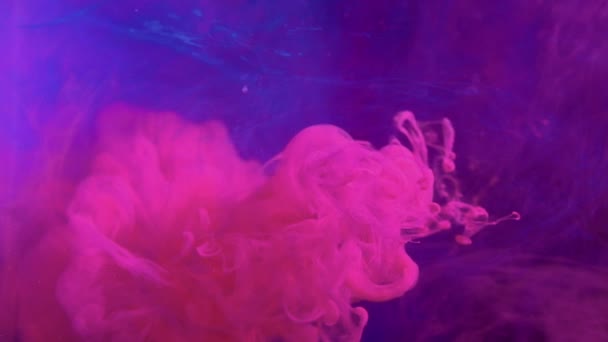 Movimento das emanações magenta rosa fluxo de vapor roxo azul — Vídeo de Stock