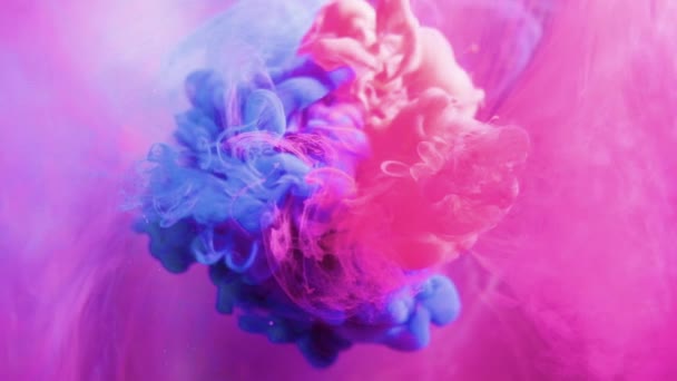 Inchiostro miscela acqua magenta rosa blu foschia nube — Video Stock