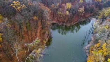 Sonbahar insansız hava aracı manzarası orman manzarasını sel bastı