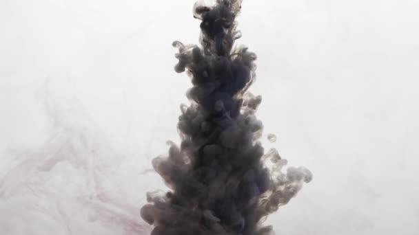Mürekkep atışı siyah dumanlı şişme hareketi bembeyaz kaplıyor — Stok video