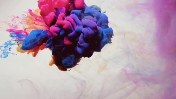 잉크 샷 마젠타 핑크 핑크 파란색 향수 구름 — 비디오
