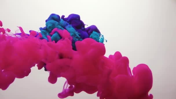 Tinte Wolke Bewegung magenta rosa blauen Qualm puff — Stockvideo