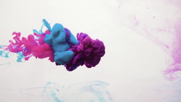 Vernice colpo di acqua blu rosa viola fumo nube — Video Stock