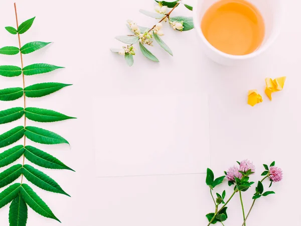Blank papper blommig dekor grön kvist blommor — Stockfoto