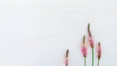 Çiçekli arka plan pembe kır çiçekleri beyaz ahşap