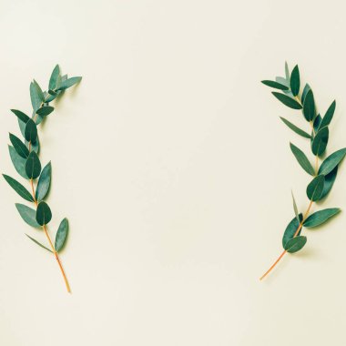 floral background natural composition green sprigs