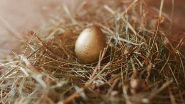 easter decor painted golden egg handmade nest