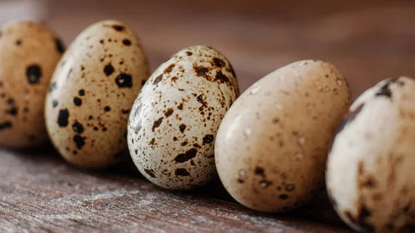 Healthy nutrition natural farm product quail eggs — Stockfoto