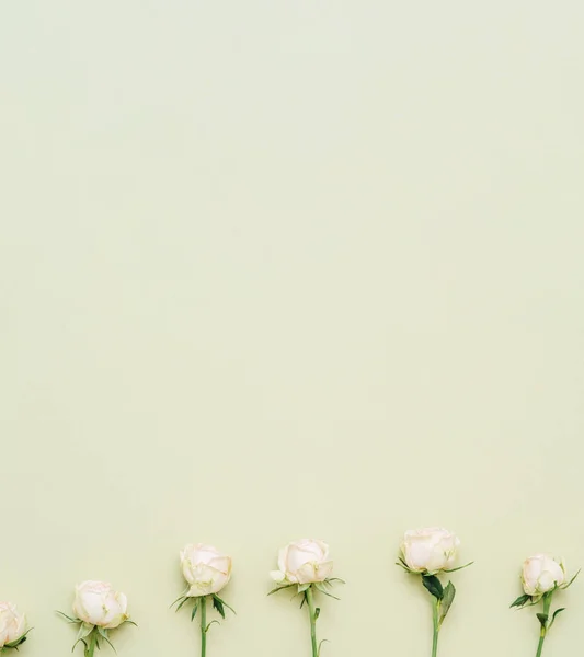 Kwiatowy minimalistyczny tło naturalny układ — Zdjęcie stockowe