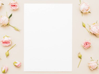 white empty paper pink roses pattern background