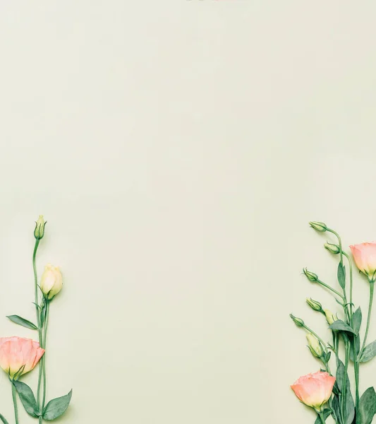 Kwiatowe tło naturalny skład różowy eustoma — Zdjęcie stockowe