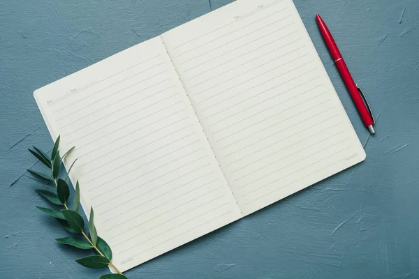 オープン空白のノート自然緑の小枝の装飾ペン — ストック写真